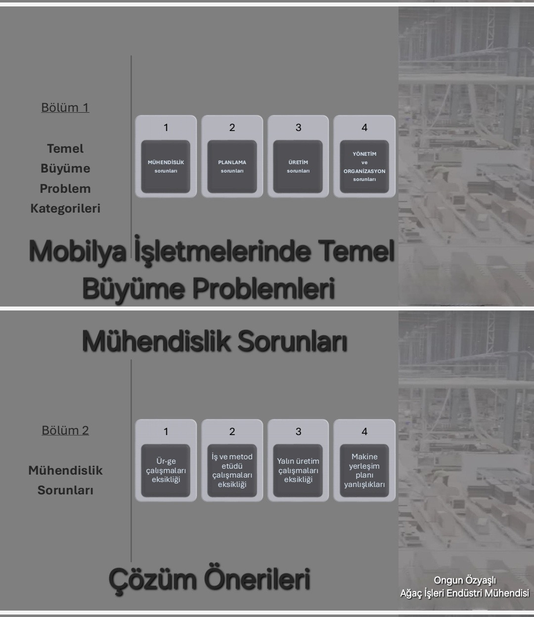 Mobilya İşletmeleri Sorunlar ve Çözüm Önerileri : Ongun Özyaşlı, Ağaç İşleri Endüstri Mühendisi